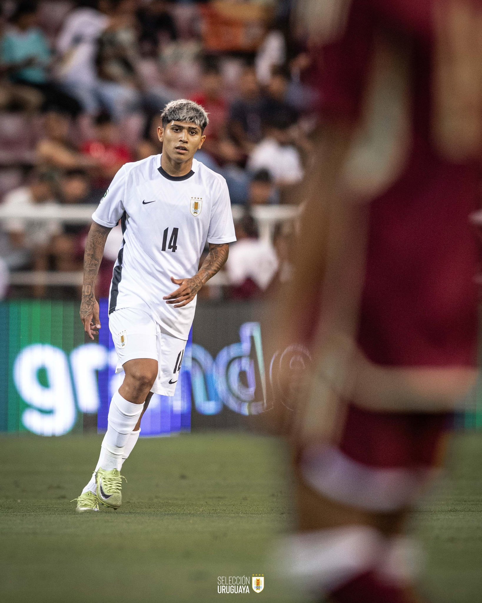 乌拉圭中场球员转会意大利豪门 乌拉圭中场球员转会意大利豪门