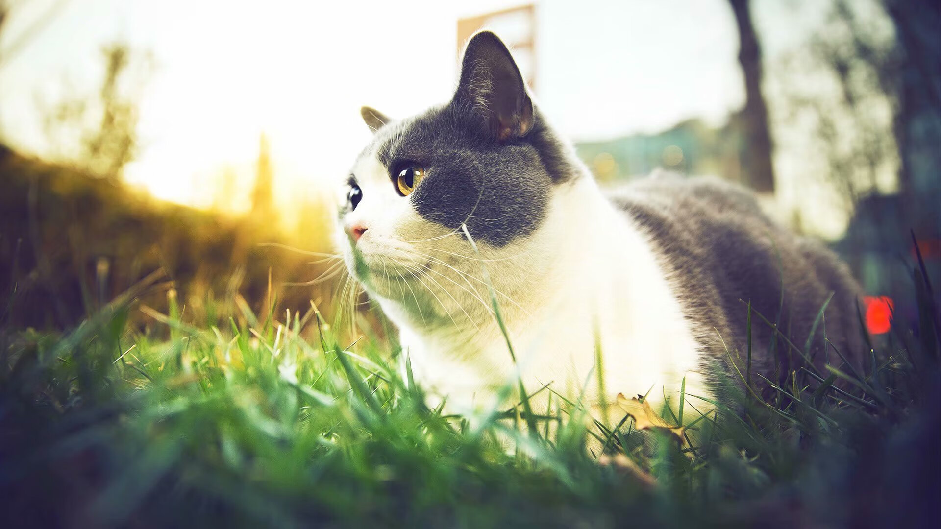 九游体育官方入口-乔治完美时刻，马刺与开拓者的巅峰对决