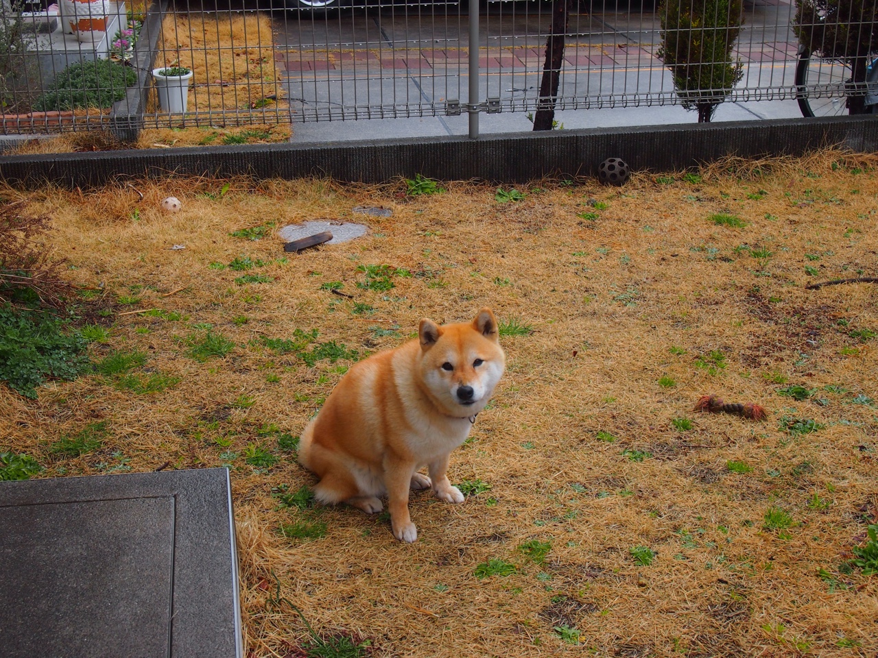 九游娱乐网站-孤星映雪原，皮克一己之力撕碎红牛防线，瑞典战术完胜莱比锡