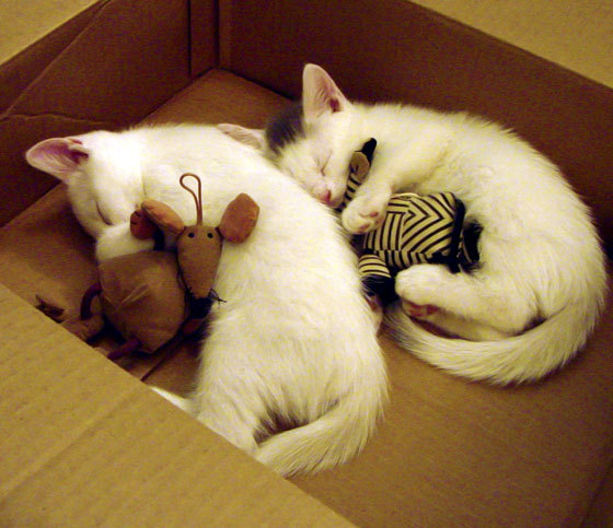 九游体育-封喉时刻！莫兰特单骑闯关，马刺磨破热火防线